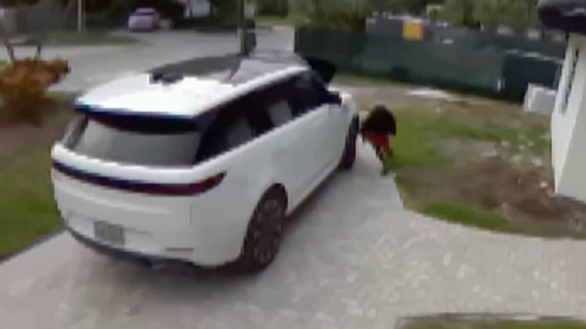 Persecución policial en Florida tras el robo de un Land Rover.